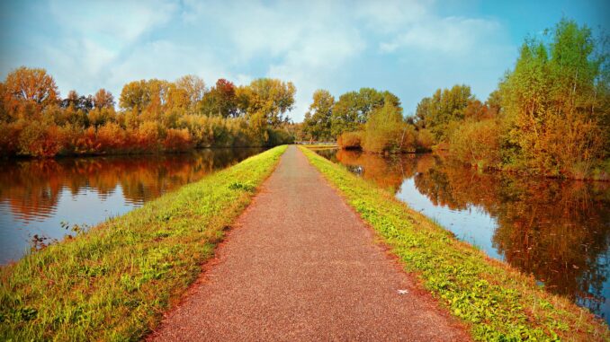 curved road